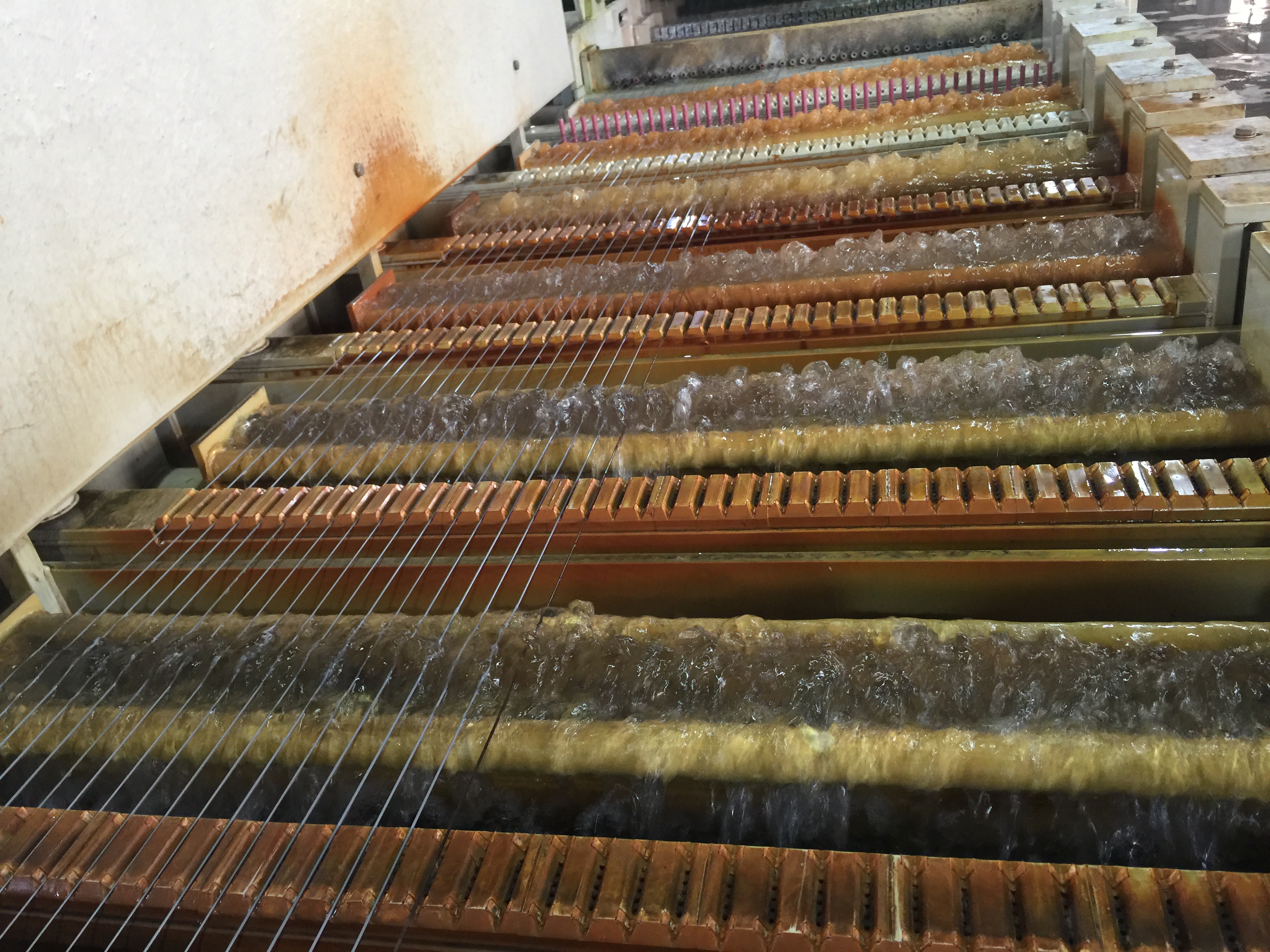 f459d4abf71299dd-photo